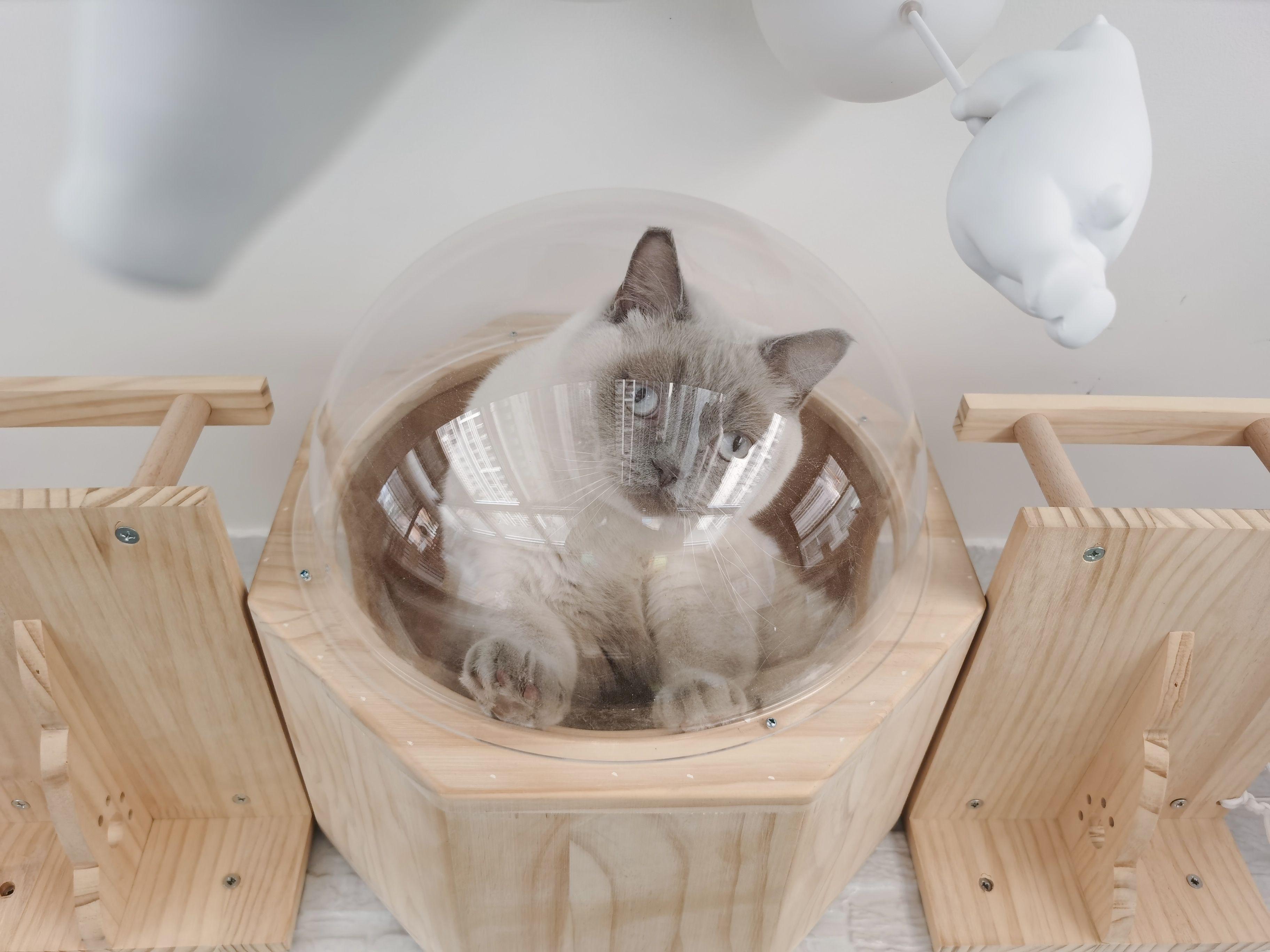 打造人宠共乐的家—“铲S官”的装修笔记