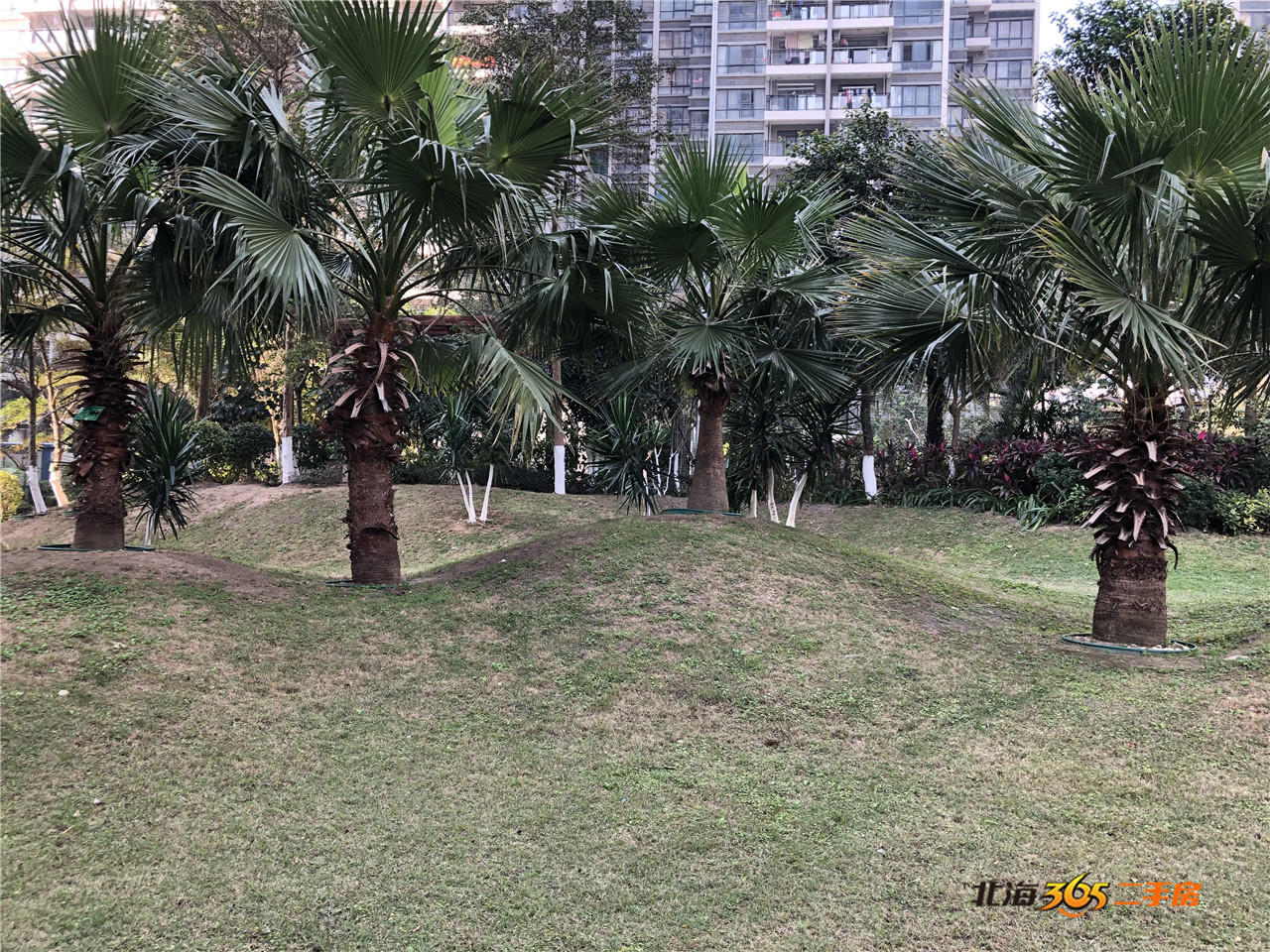 北海嘉盛名都房屋出售,北海嘉盛名都豪宅