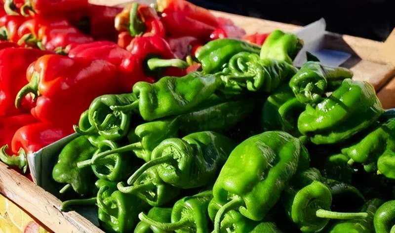 有毒的土地种的蔬菜水果有毒吗,不安全的食品对身体有什么危害