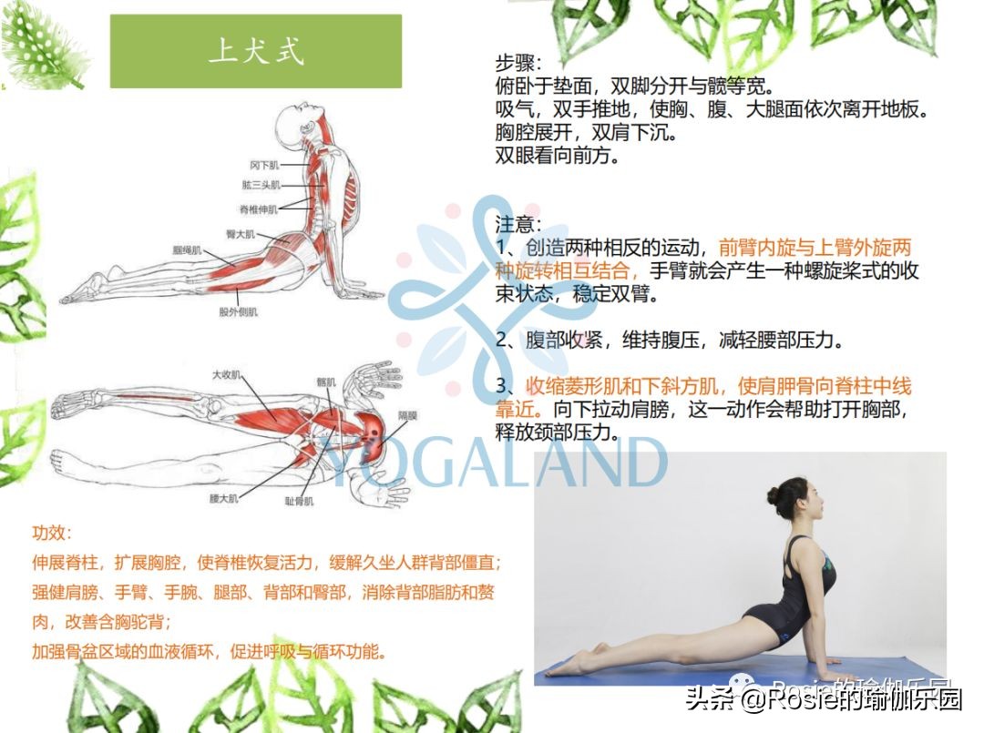 瑜伽小白如何在家自己练瑜伽,瑜伽零基础入门的基本体式有哪些