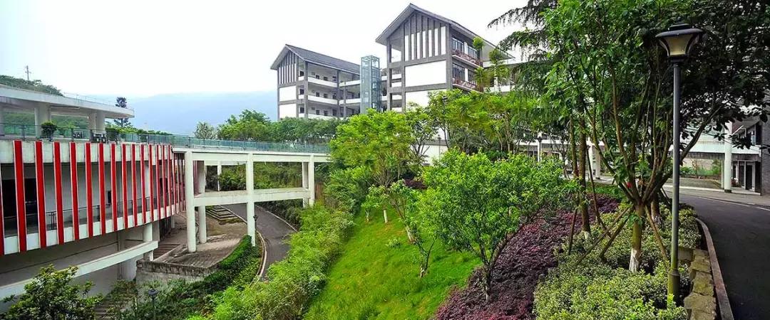 重庆十八中｜区重中的绩优股，名校中的战斗机