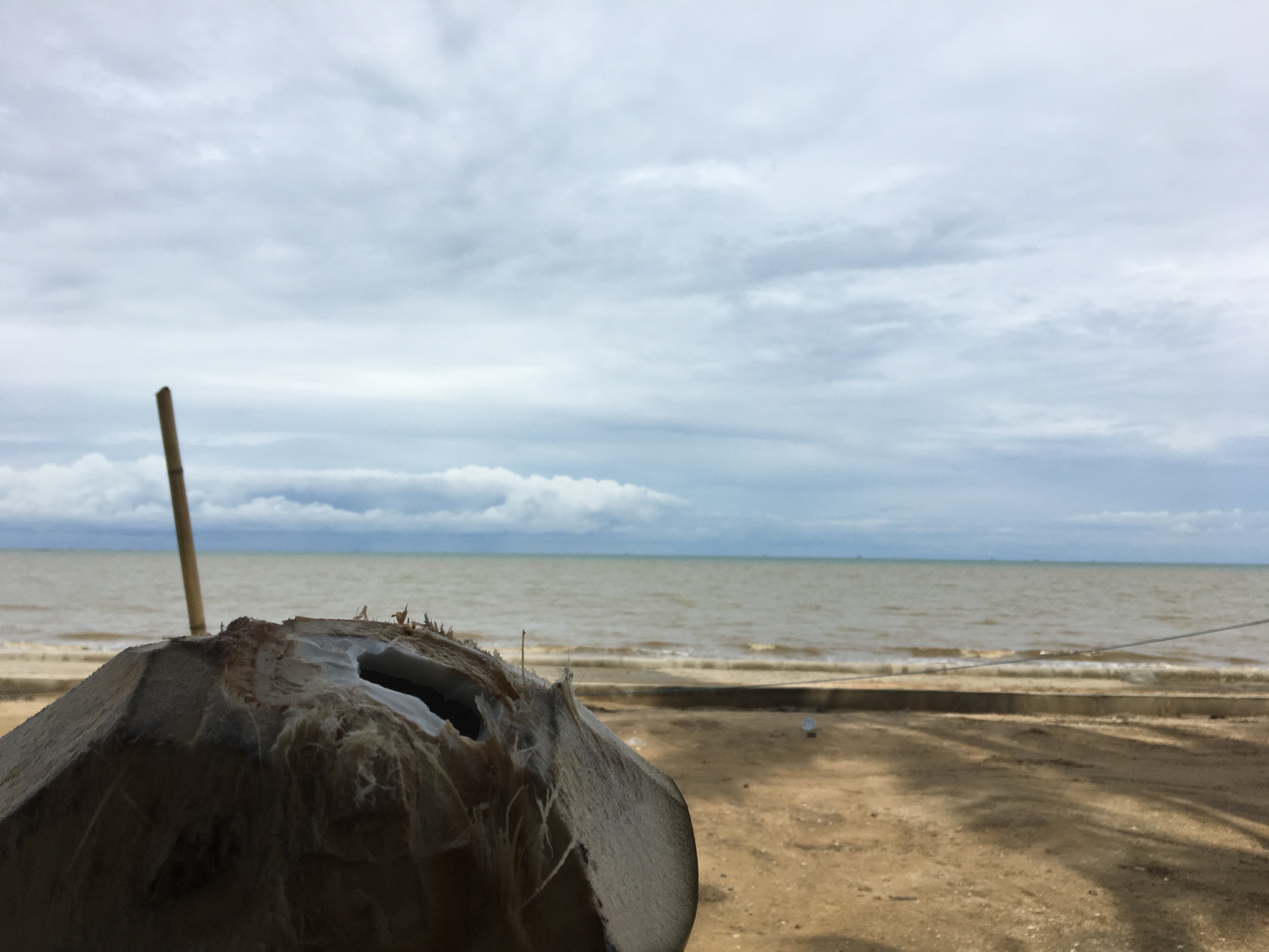 印度尼西亚吃喝玩乐,印度尼西亚旅游吃饭好不好吃