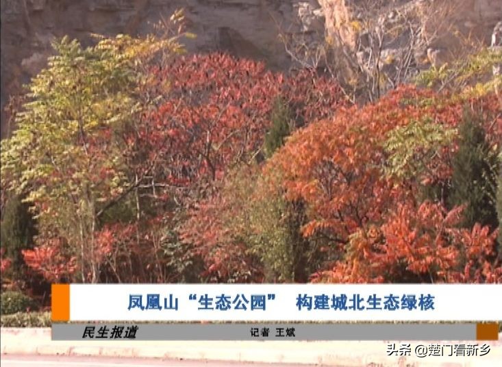 凤凰山公园的建设方案,凤凰山公园改造最新消息