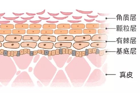 *血丝红**的自救指南,大家快来抄作业