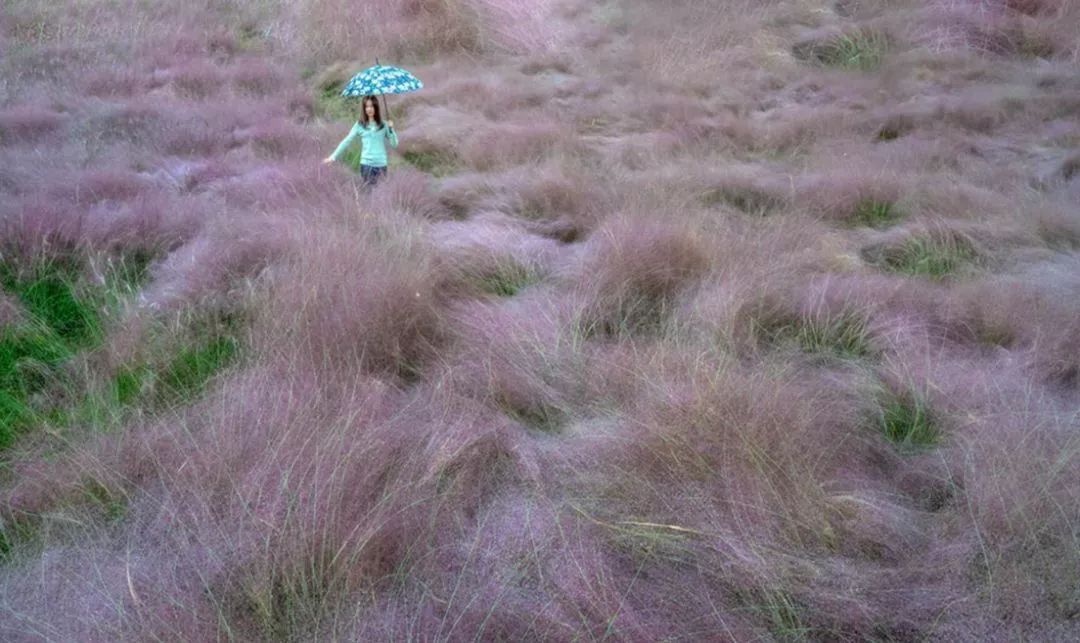 一泡而红！四川这座小城已火向全球，今天万人齐聚！