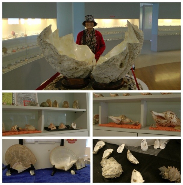 台湾环岛8日旅游路线攻略,台湾环岛8日跟团游攻略