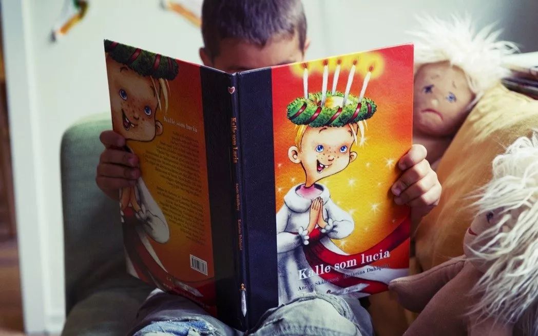 瑞典女权主义国家,瑞典女性主义