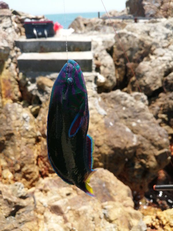 广东必去的沙滩旅游景点,广东十个露营的海岛