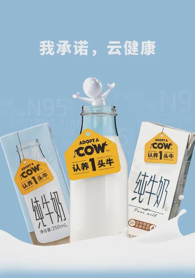 徐晓波认养一头牛创始人董事长,认养一头牛徐晓波是哪里人