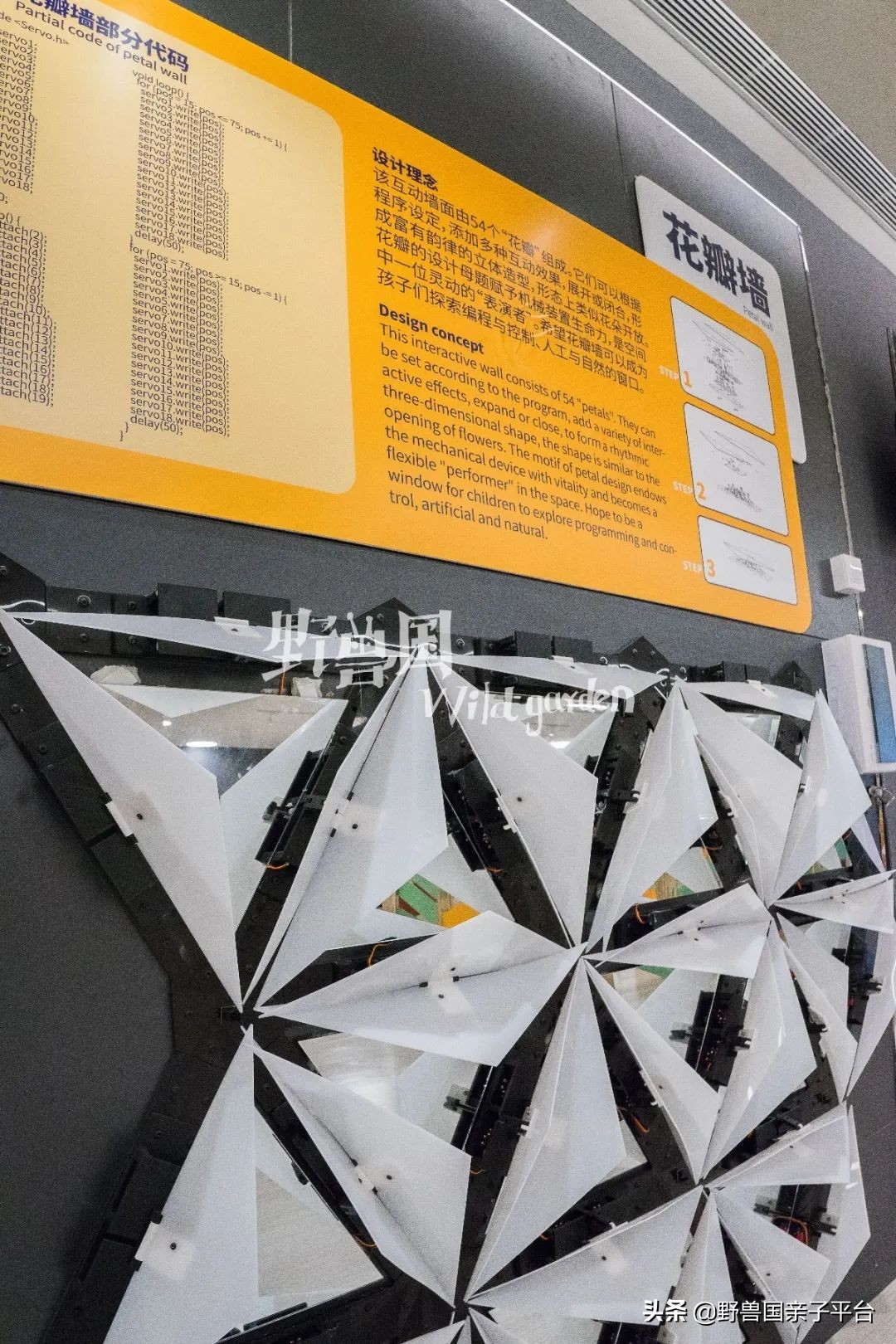 一年20万学费的清澜山学校,都在学些什么?