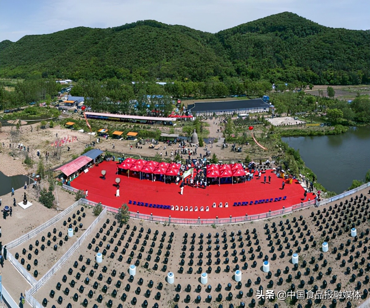 延边悟德酱露酒多少钱,延边悟德酱露酒董事长