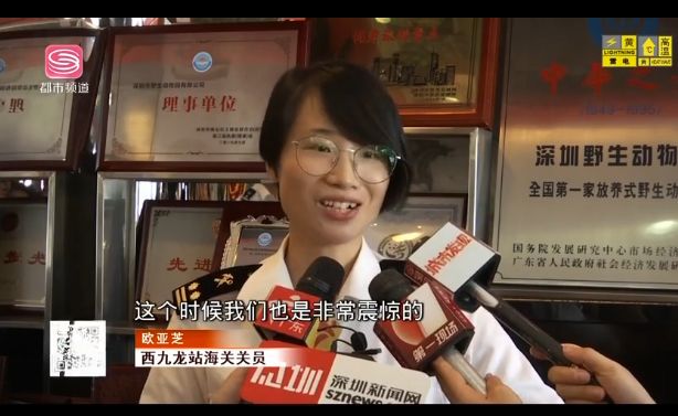 女子腰缠624条金项链入关被查，总价89万！网友：现实版腰缠万贯