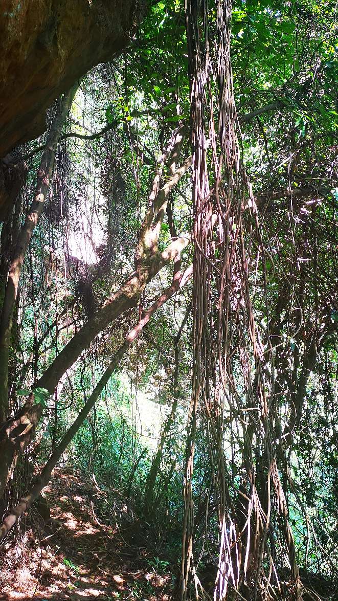 青秀山有什么独特之处,青秀山里有什么美景