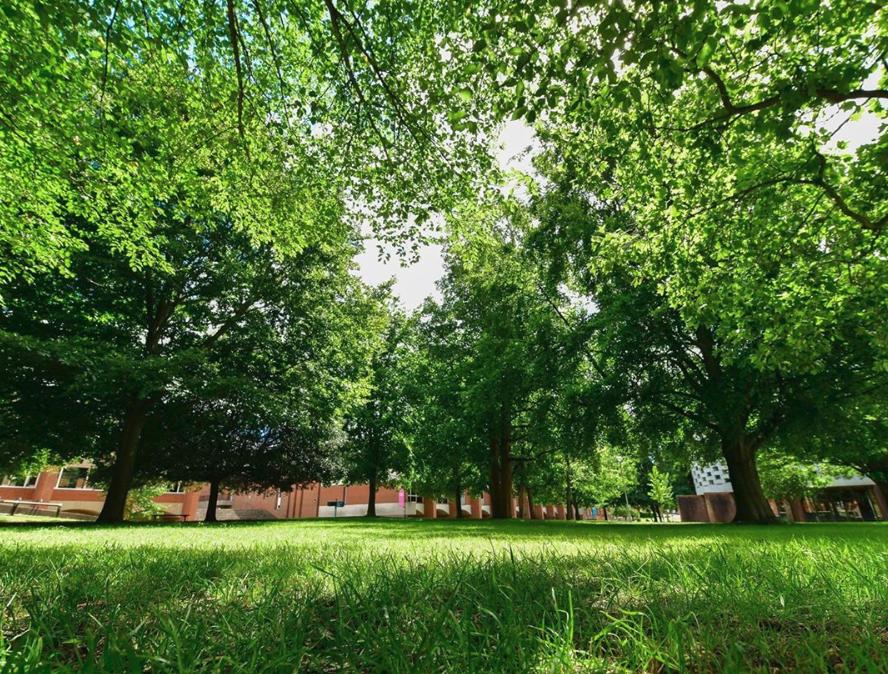 instagram最受欢迎的男模特,instagram最受欢迎的十大网红