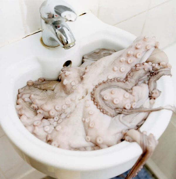 她用Tinder约异性拍裸照