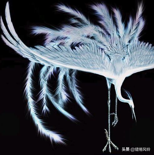 揭秘山海经的所有神兽,山海经四大神兽简介大全