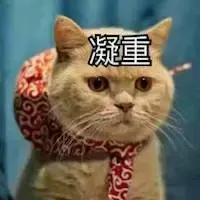 猫癣传染人如何才能治好,猫癣怎么治才不会复发