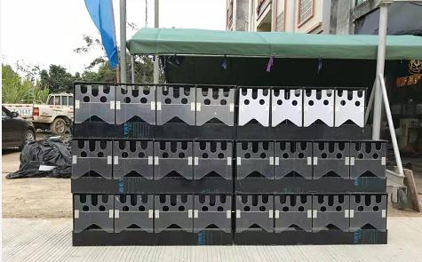 怎么防止黄缘龟埋土,如何防止黄缘龟偷蛋