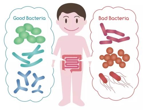 益生菌对过敏体质宝宝有作用吗,益生菌改善过敏体质吗