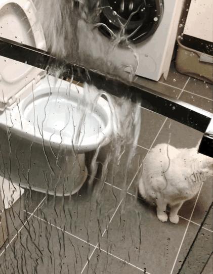 用浴帘底下还是流水怎么办,淋浴防止水溅的方法