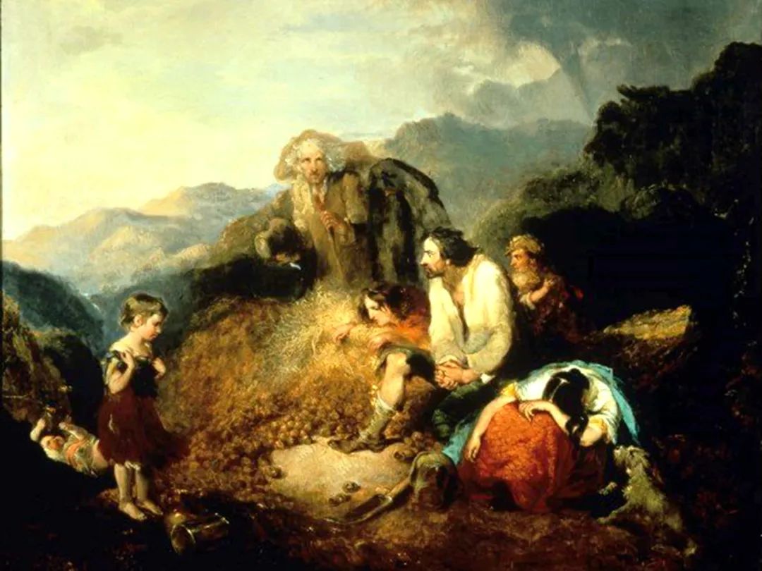 爱尔兰饥荒是由什么引起的,爱尔兰的饥荒是怎么回事