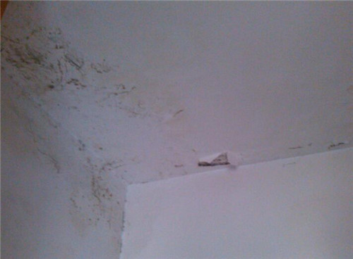 房屋漏水怎样处理最好视频教程,房屋漏水有什么方法处理