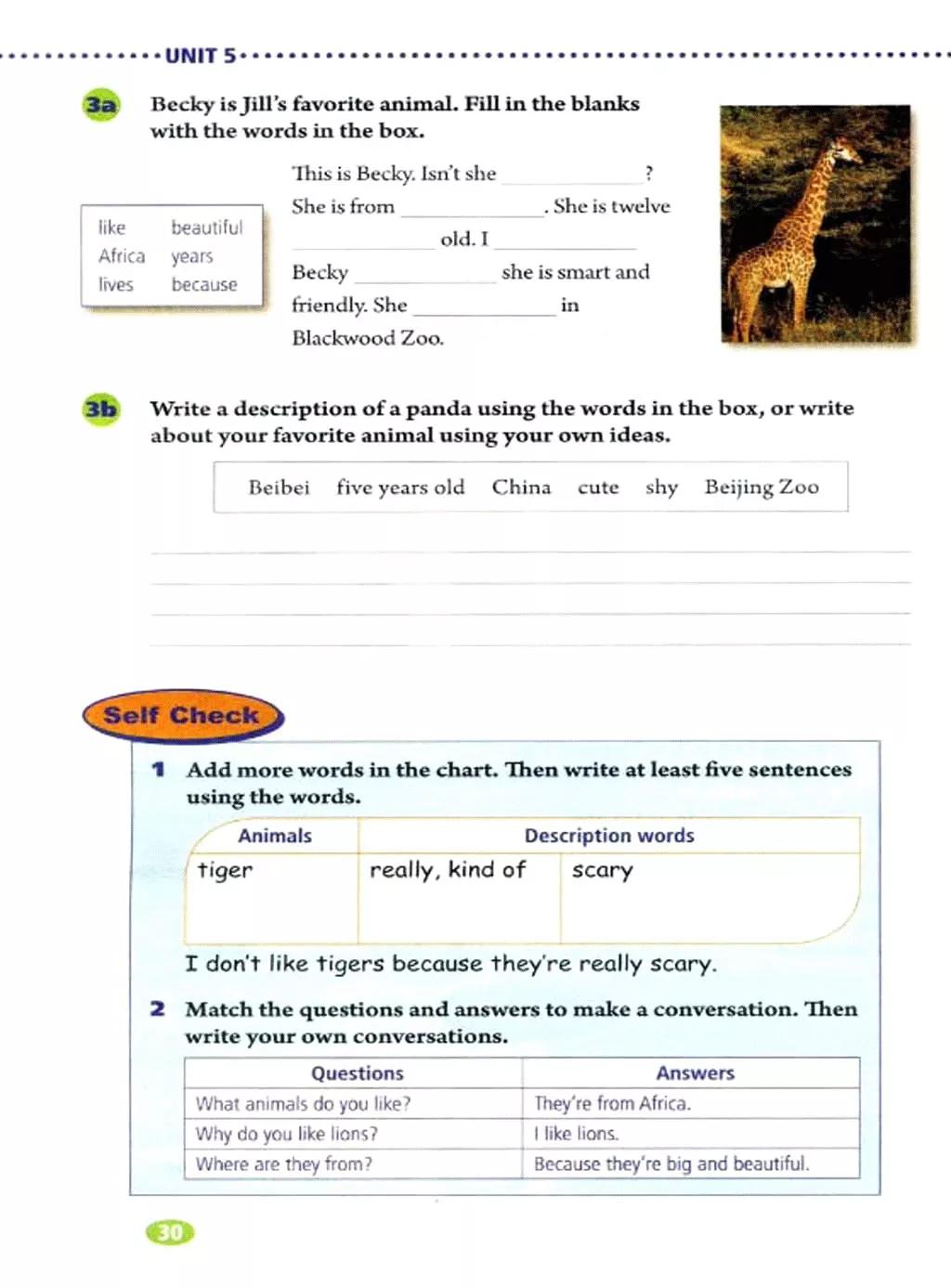 奇速英语人教版七年级,提速学习七年级下册英语电子版