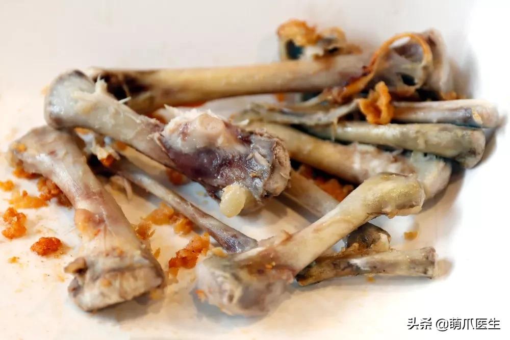 猫狗不能吃米吗,猫狗不能吃人类调料吗