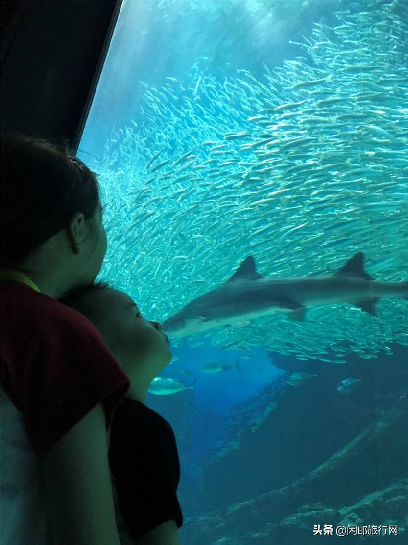 海洋量子号福冈熊本,海洋量子号邮轮游日本攻略