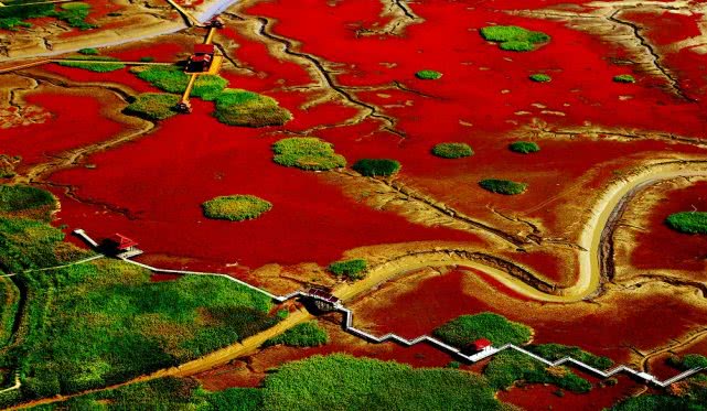 酒香更要“勤吆喝”！盘锦旅游“秀起来”