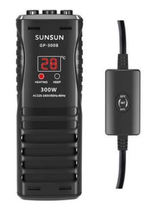 观赏鱼烂肉如何清理,观赏鱼烂了怎么补救