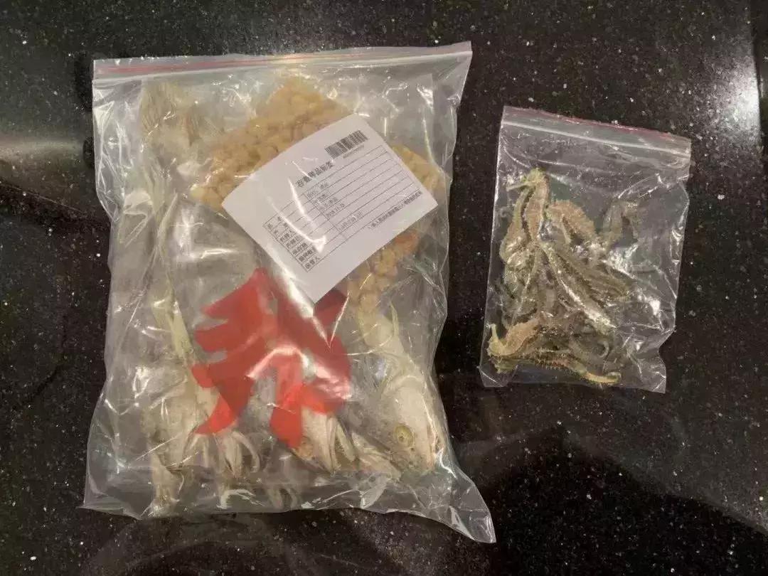 鍙屾棪璐墿璁″垝,璺熸梾娓稿洟鍘婚娓杩囨捣鍏冲悧