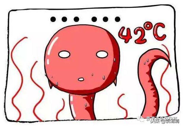 精子死亡怎么治疗调理,精子全部死亡怎么治疗