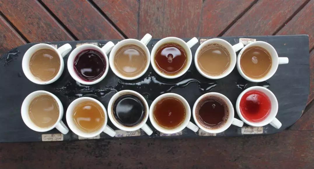 猫屎咖啡加盟费多少钱,猫屎咖啡到底好不好