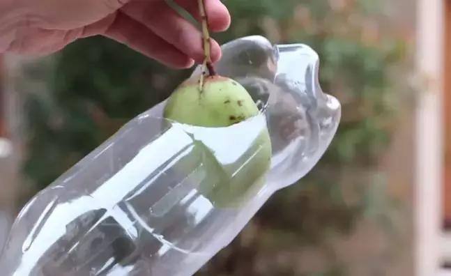 塑料瓶的多种妙用，非常实用（含教程）