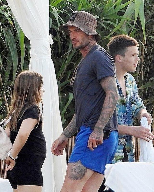 小七胖的时候的视频,小七胖了