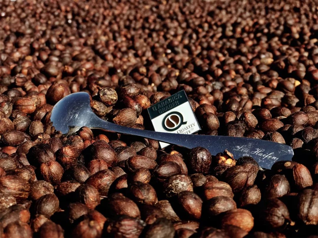 金达咖啡饮品城现在可以进入了吗,金达咖啡饮品城