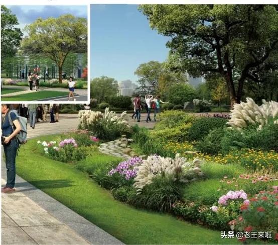 徐州运动公园,在美景中晨跑