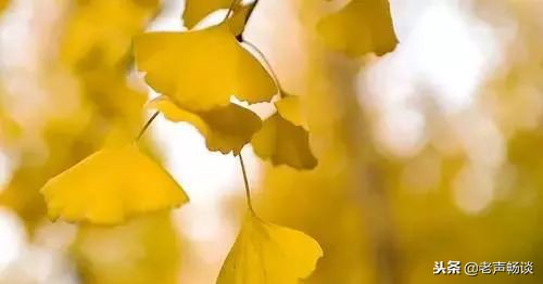 健康科普今日立冬该怎么吃,立冬十大必吃食物