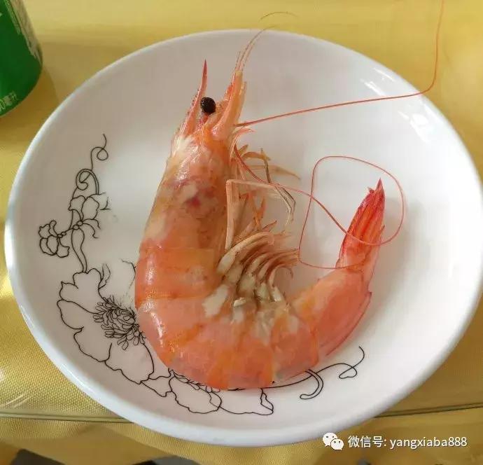 目前最好的高密度养虾技术,养鱼虾新技术