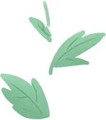 13年的普洱生茶能值多少钱,13年熟普洱茶价格多少钱