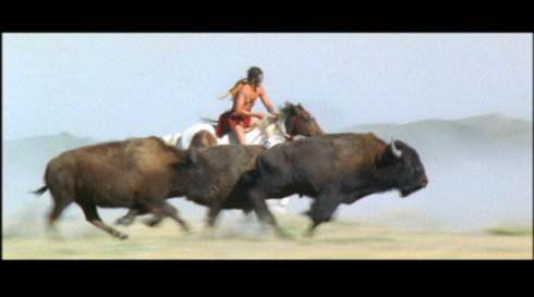 美国军官表示：尽可能*杀屠**野牛，多死一头野牛就能少一个印第安人