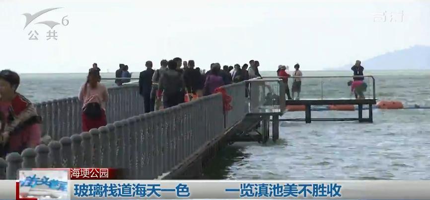 玻璃栈道昆明海埂公园新景点,云南滇池海埂公园玻璃栈道在哪里