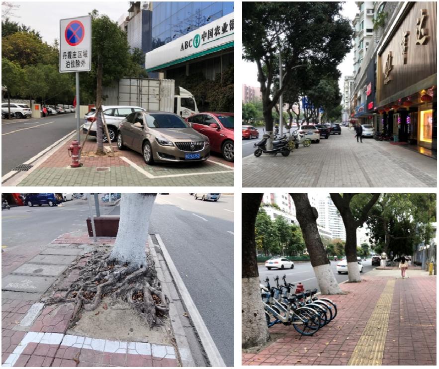 汕头金砂东路品质提升改造,汕头金砂东路改造规划图