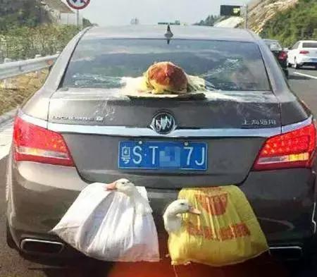 15式主战轻坦大战,15式轻坦的配置