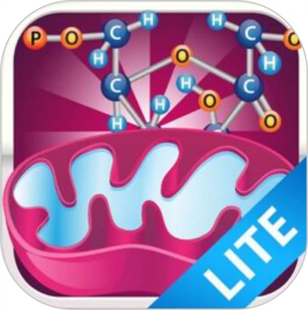 教师必备的10个教课的软件,有什么适合老师用的教学软件