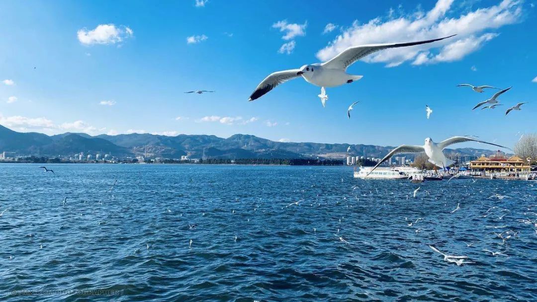 11-12月十大必去旅行地,12月高性价比的旅游地