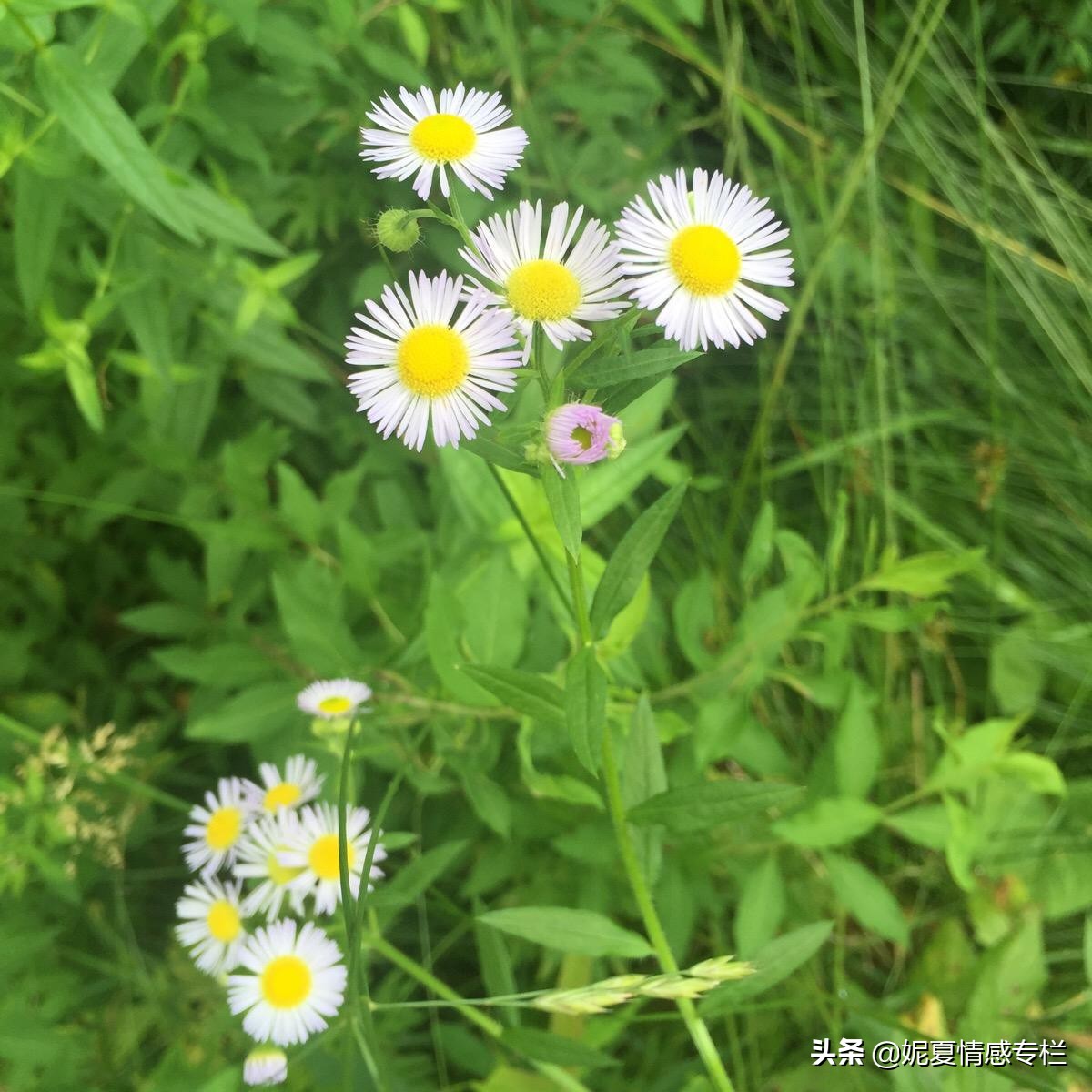 一封丈夫出轨的信,一封关于出轨的信