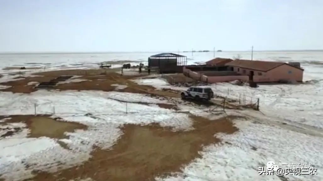 接春的时候应该说什么,接春羔的时候图片