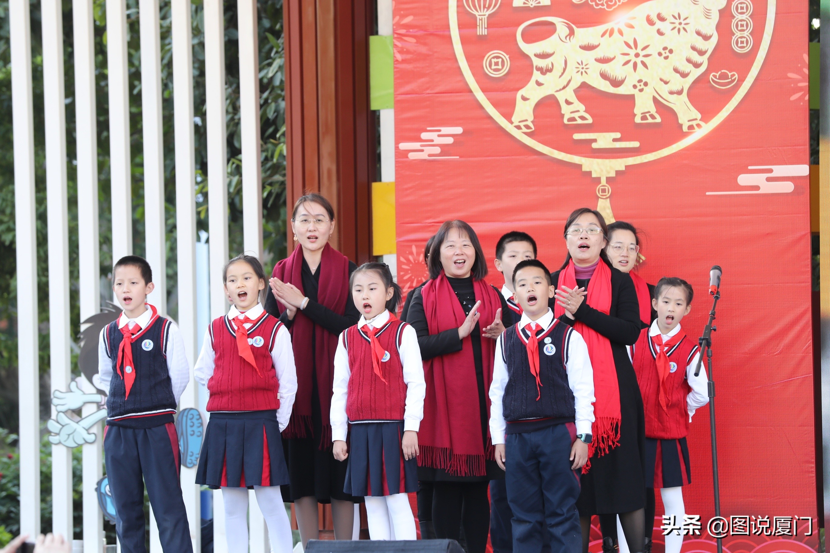 凤凰花开新征程新启航,厦门二中凤凰花开